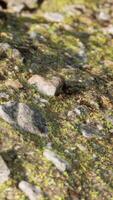 close up of rocky stones formation video