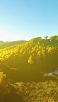 luchtfoto drone uitzicht op een bergbos met kleurrijke herfstbomen video