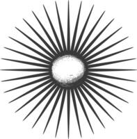 silhouette vintage sunburst black color only vector