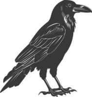 silhouette raven animal full body black color only vector