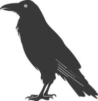 silhouette raven animal full body black color only vector