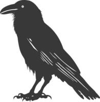 silhouette raven animal full body black color only vector