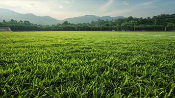 Close-up photo of football field