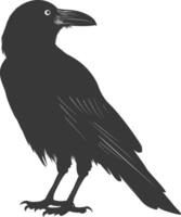 silhouette raven animal full body black color only vector