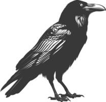 silhouette raven animal full body black color only vector