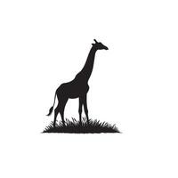 Giraffe silhouette design. Giraffe logo, giraffe illustration. vector