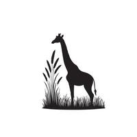 Giraffe silhouette design. Giraffe logo, giraffe illustration. vector