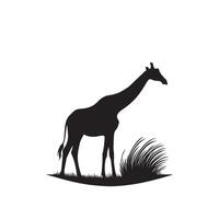 Giraffe silhouette design. Giraffe logo, giraffe illustration. vector