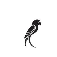 Parrot silhouette on white background. Birds silhouette. Parrot logo, illustration vector