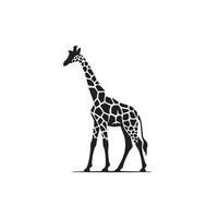 Giraffe silhouette design. Giraffe logo, giraffe illustration. vector