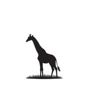 Giraffe silhouette design. Giraffe logo, giraffe illustration. vector