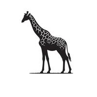 Giraffe silhouette design. Giraffe logo, giraffe illustration. vector