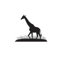 jirafa silueta diseño. jirafa logo, jirafa ilustración. vector