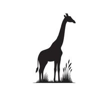 Giraffe silhouette design. Giraffe logo, giraffe illustration. vector