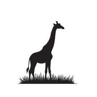 Giraffe silhouette design. Giraffe logo, giraffe illustration. vector