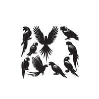 loro silueta en blanco antecedentes. aves silueta. loro logo, ilustración vector