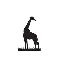 Giraffe silhouette design. Giraffe logo, giraffe illustration. vector