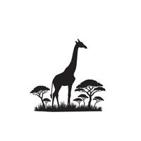 Giraffe silhouette design. Giraffe logo, giraffe illustration. vector