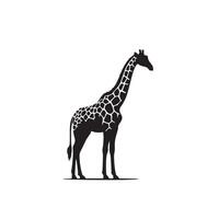 Giraffe silhouette design. Giraffe logo, giraffe illustration. vector