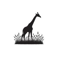 Giraffe silhouette design. Giraffe logo, giraffe illustration. vector