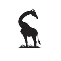 Giraffe silhouette design. Giraffe logo, giraffe illustration. vector