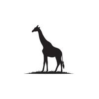 Giraffe silhouette design. Giraffe logo, giraffe illustration. vector