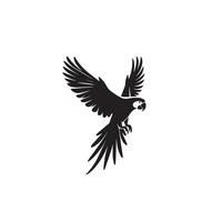 Parrot silhouette on white background. Birds silhouette. Parrot logo, illustration vector