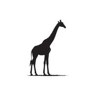 Giraffe silhouette design. Giraffe logo, giraffe illustration. vector