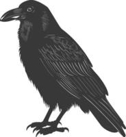 silhouette raven animal full body black color only vector