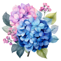 magnifique hortensias fleur aquarelle isoler transparent Contexte. png