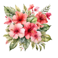 aquarell blumenstrauß png