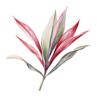 ti planta, tropical hoja ilustración. acuarela estilo png