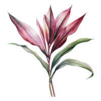 ti plantar, tropical folha ilustração. aguarela estilo png