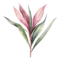 ti växt, tropisk blad illustration. vattenfärg stil png
