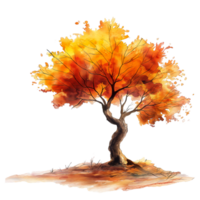 Autumn tree in watercolor style isolated on transparent background. png