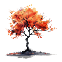 Autumn tree in watercolor style isolated on transparent background. png