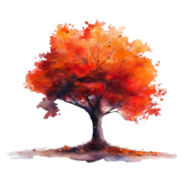 Autumn tree in watercolor style isolated on transparent background. png