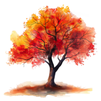 Autumn tree in watercolor style isolated on transparent background. png