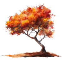 Autumn tree in watercolor style isolated on transparent background. png