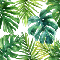 Watercolor painting of botanical tropical leaves isolated on transparent background. png