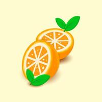 two slices of fresh orange with two sprigs of green leaves vector