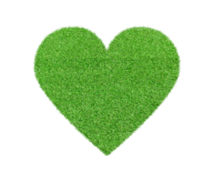 Heart made of green grass Isolated on transparent background. File png