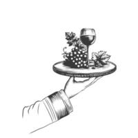 Waiter holding serving tray with wine glass and grape. hand drawn sketch illustration isolated on white background. vector