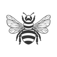 miel abeja icono. mano dibujado grabado Clásico estilo ilustración aislado en blanco antecedentes vector