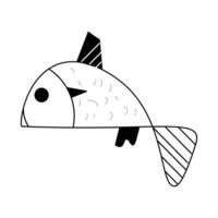 Hand drawn fish . line drawing fish for coloring book. Doodle art. sketch fish cute vector