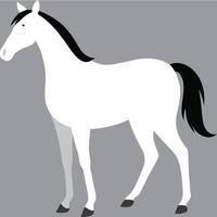 ilustración blanco caballo plano Arte vector