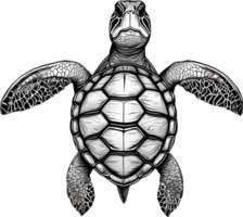 majestuoso mar Tortuga se desliza en agua. ai-generado. png