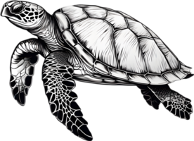 majestueus zee schildpad glijdt in water. ai-gegenereerd. png