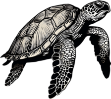 Majestic sea turtle glides in water. AI-Generated. png