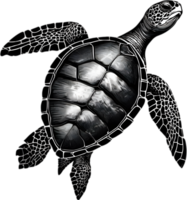 Majestic sea turtle glides in water. AI-Generated. png